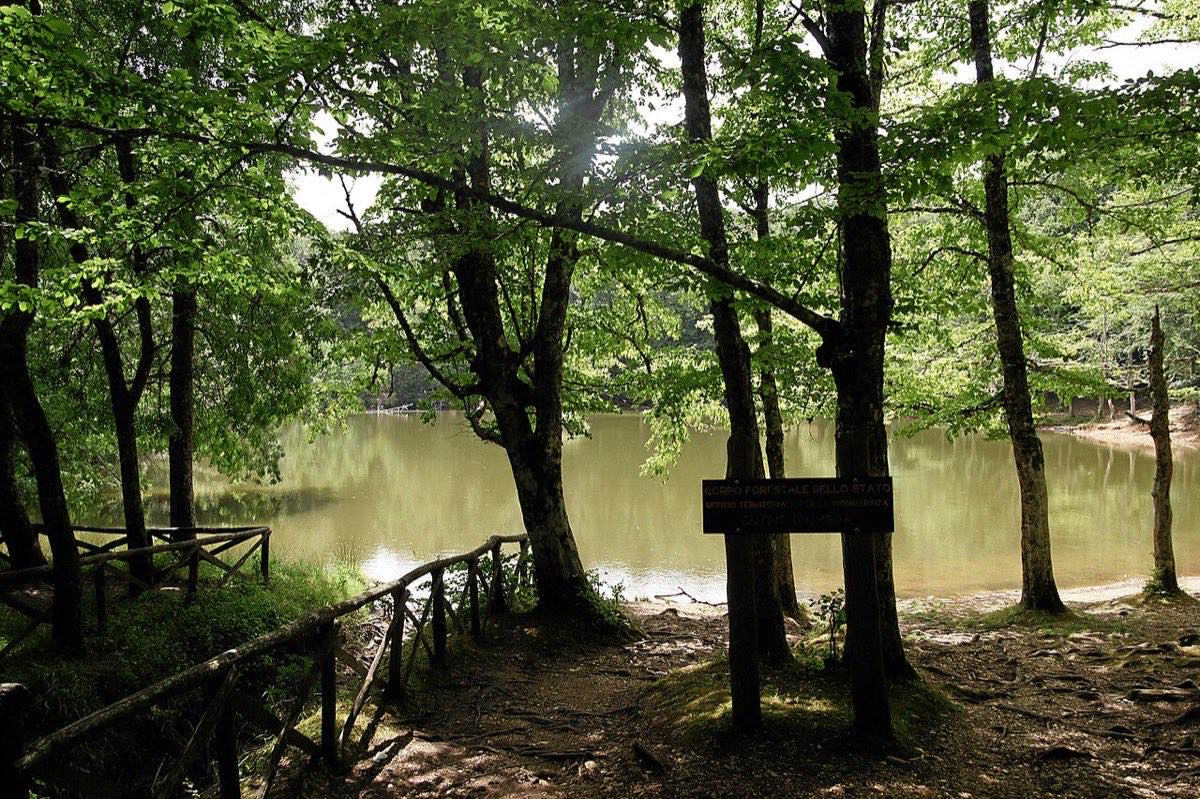 Il laghetto e la faggeta della Foresta Umbra nel Gargano